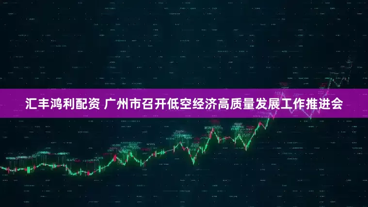 汇丰鸿利配资 广州市召开低空经济高质量发展工作推进会