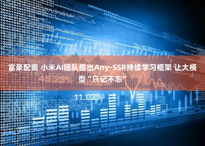 富豪配资 小米AI团队提出Any-SSR持续学习框架 让大模型“只记不忘”