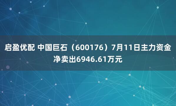 启盈优配 中国巨石（600176）7月11日主力资金净卖出6946.61万元