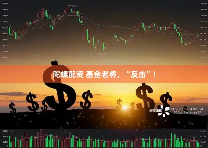 陀螺配资 基金老将，“反击”！