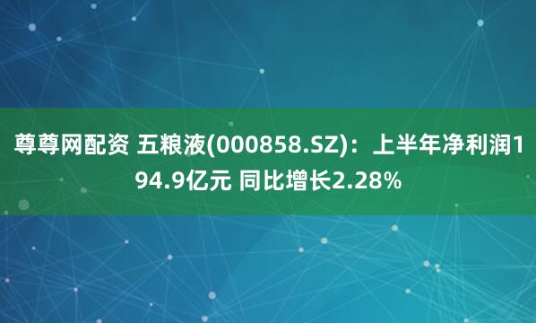 尊尊网配资 五粮液(000858.SZ)：上半年净利润194.9亿元 同比增长2.28%