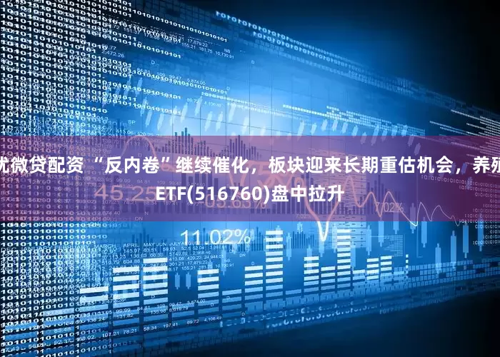 优微贷配资 “反内卷”继续催化，板块迎来长期重估机会，养殖ETF(516760)盘中拉升