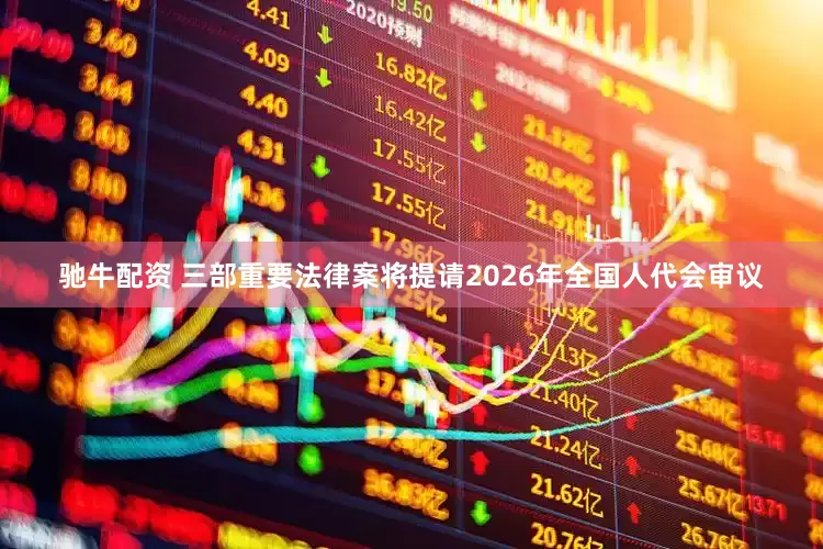 驰牛配资 三部重要法律案将提请2026年全国人代会审议