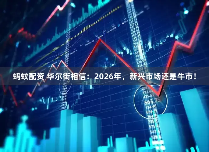 蚂蚊配资 华尔街相信：2026年，新兴市场还是牛市！